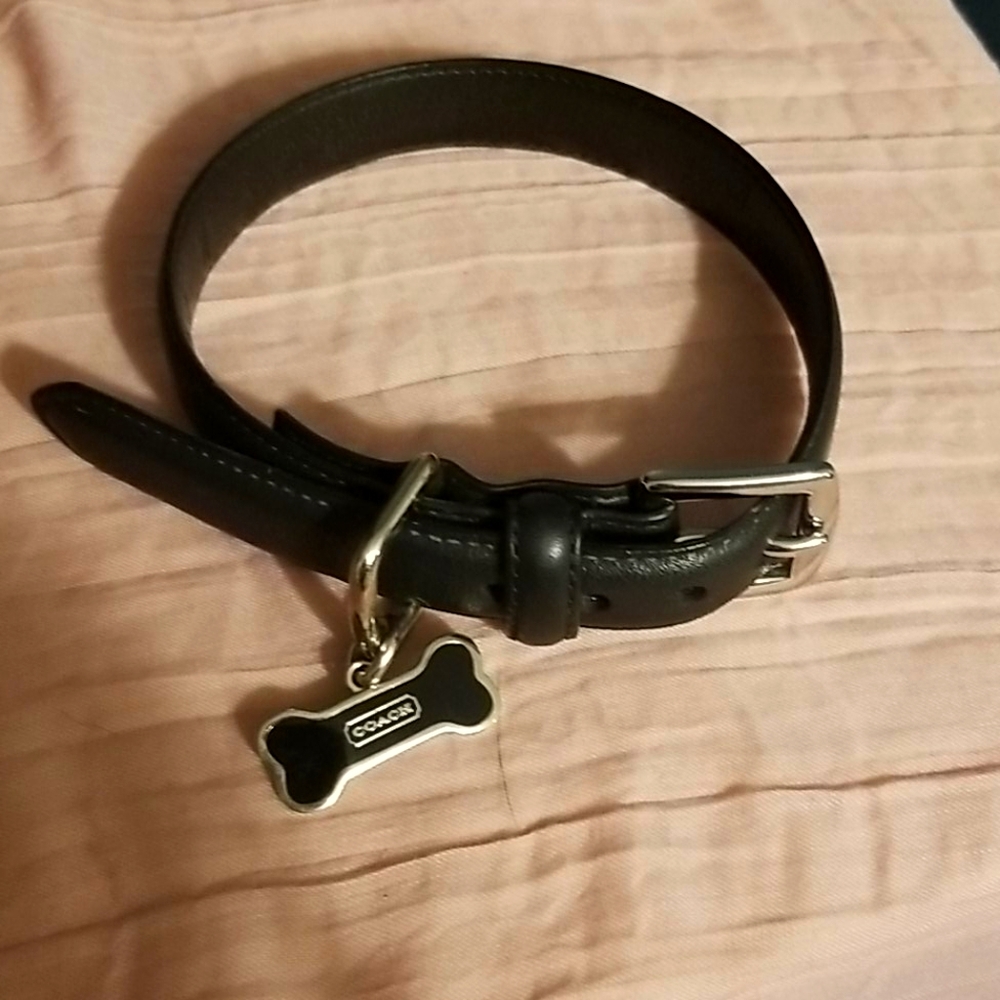 Coach dog collar